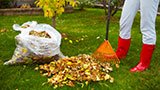 fall leaves cleanup service in Anchorage