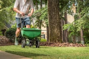 The Importance of Caring for Your Lawn and Landscape