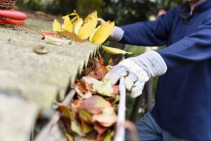 Fall Maintenance Checklist To Prepare Your Home for Winter