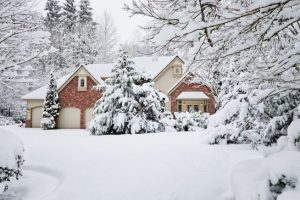 How To Get Your Yard Ready for the Winter